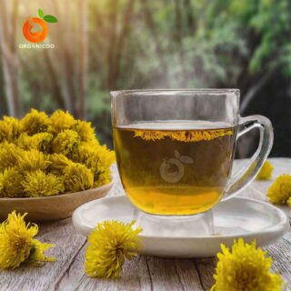 Chrysanthemum organicoo