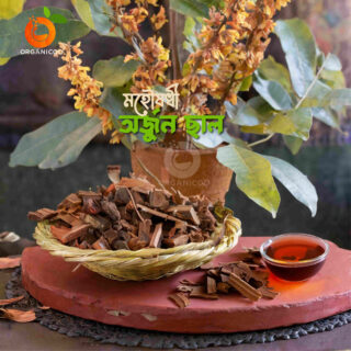 Arjun অর্জুন ছাল